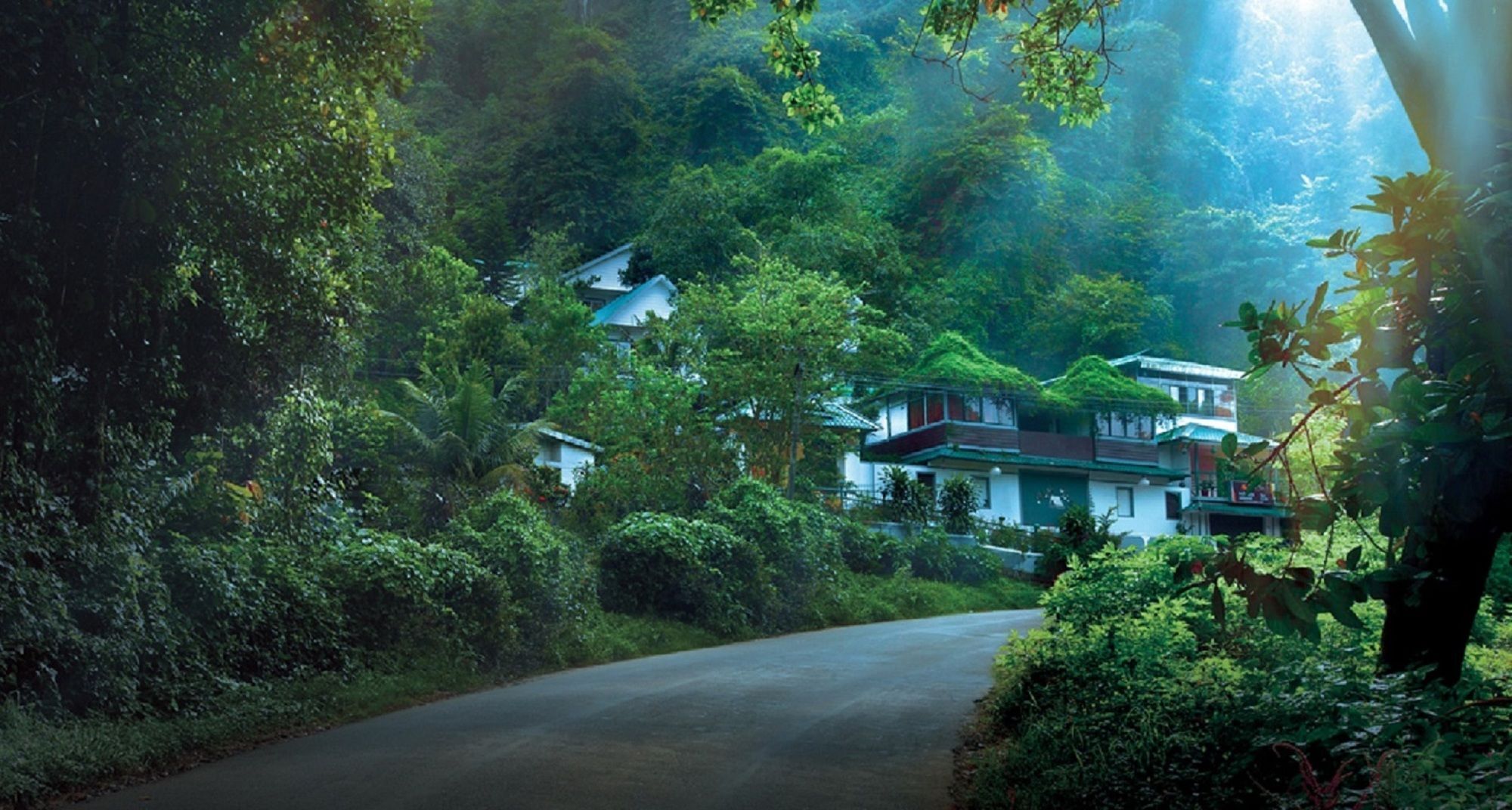 Bellavista Resort Munnar Zewnętrze zdjęcie