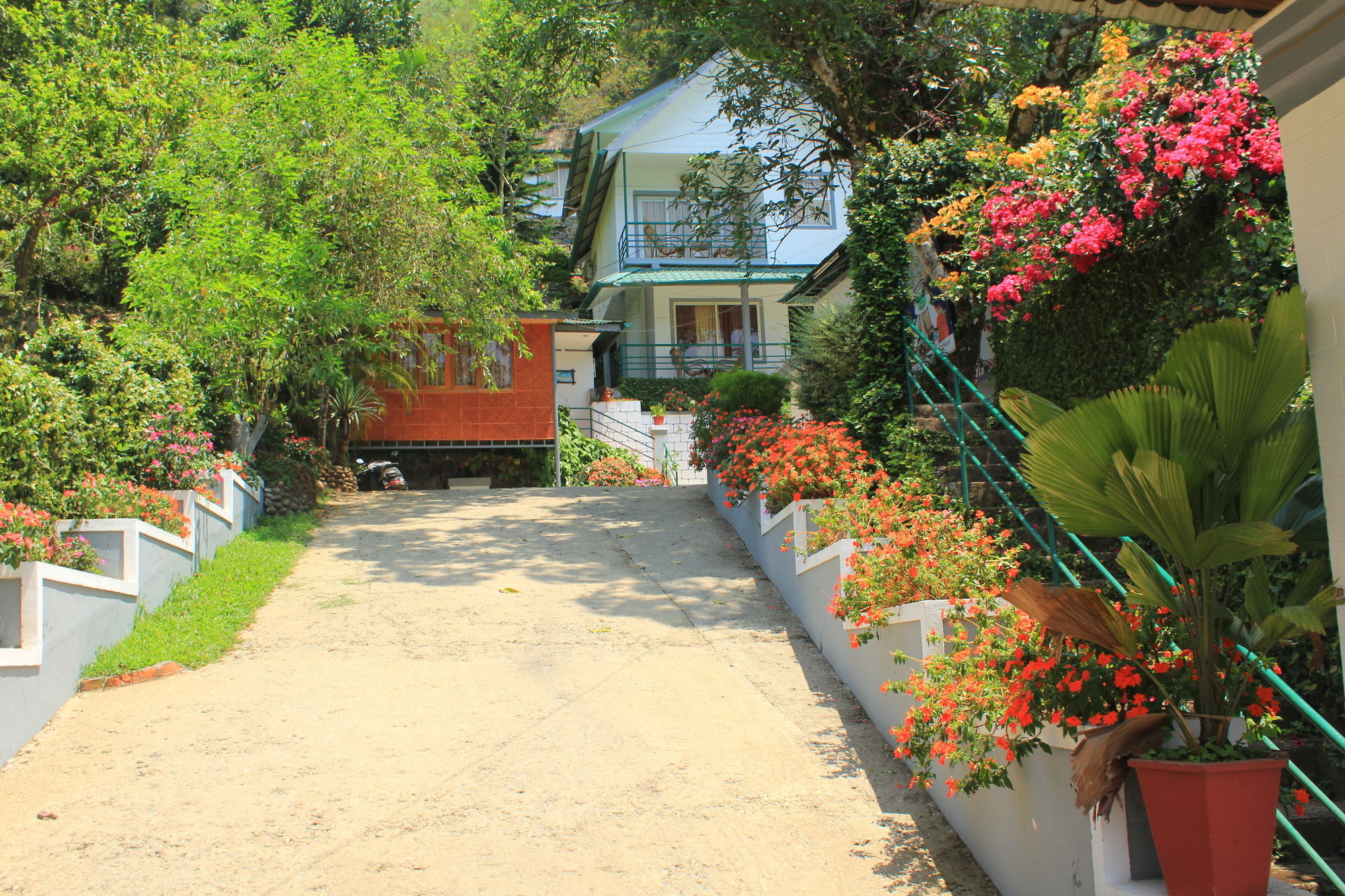 Bellavista Resort Munnar Zewnętrze zdjęcie